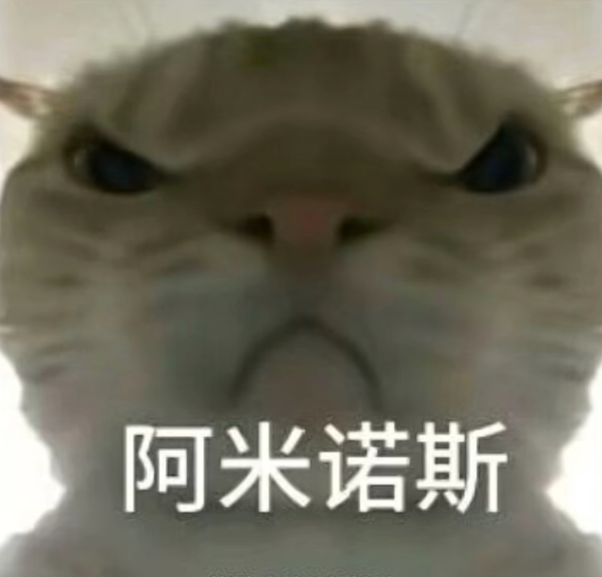 精准的传球