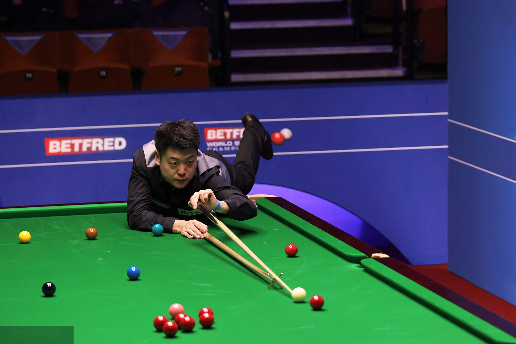 王哲林的成 王哲林的成